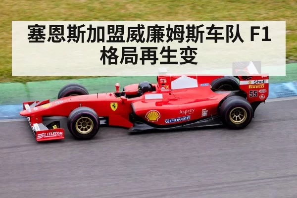 塞恩斯加盟威廉姆斯车队 F1格局再生变